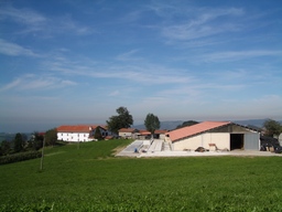 bulano2