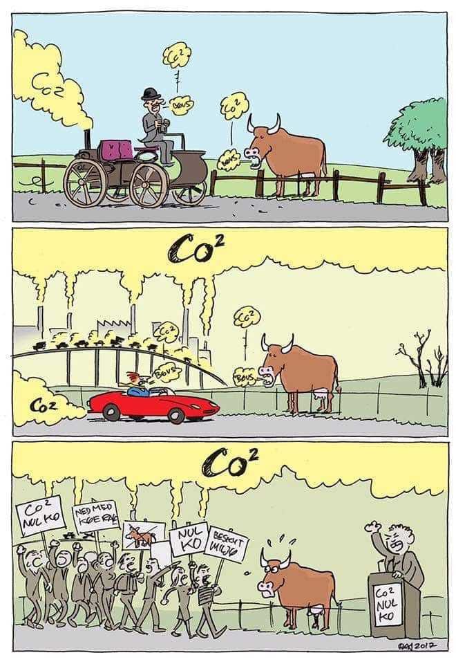 chiste