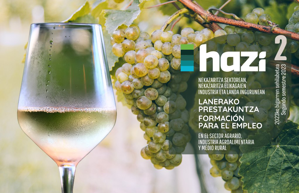 fomacion 2 2023 web