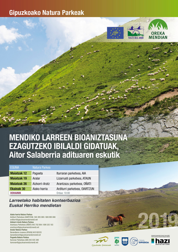 oreka median2019