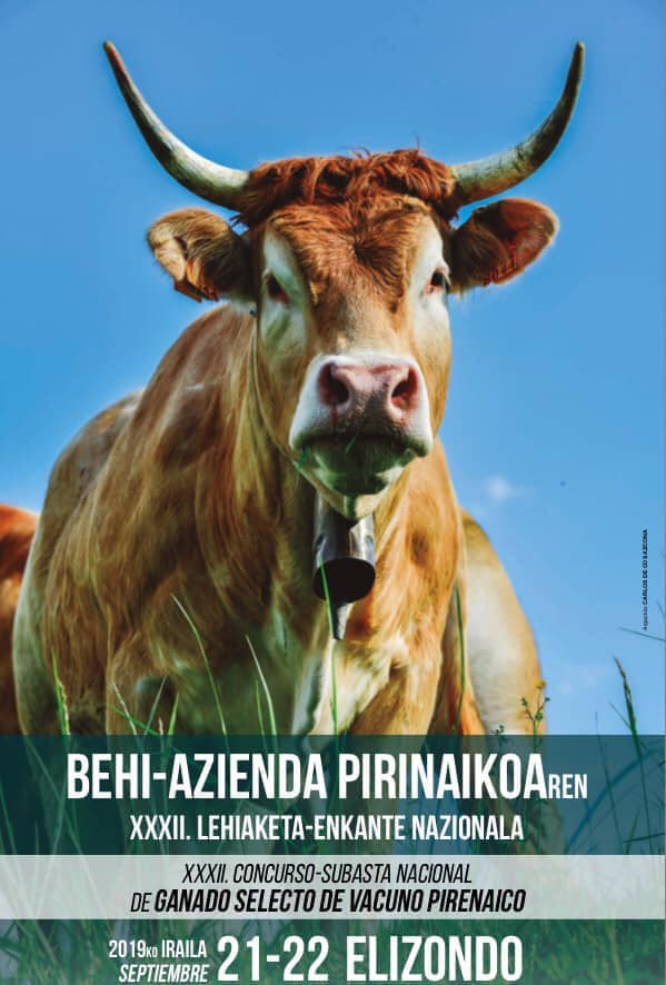 pirenaika2019