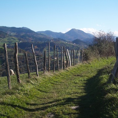 Aholkularitza juridikoa eta fiskala