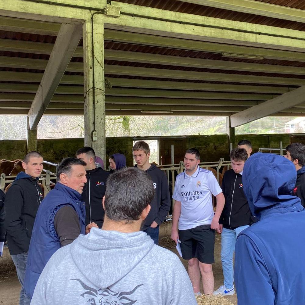 Aholkularitza sektoriala